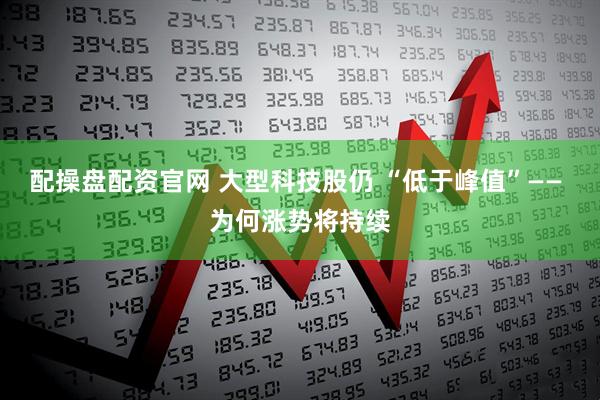 配操盘配资官网 大型科技股仍 “低于峰值”—— 为何涨势将持续