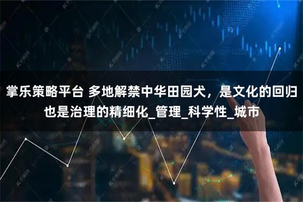 掌乐策略平台 多地解禁中华田园犬，是文化的回归也是治理的精细化_管理_科学性_城市